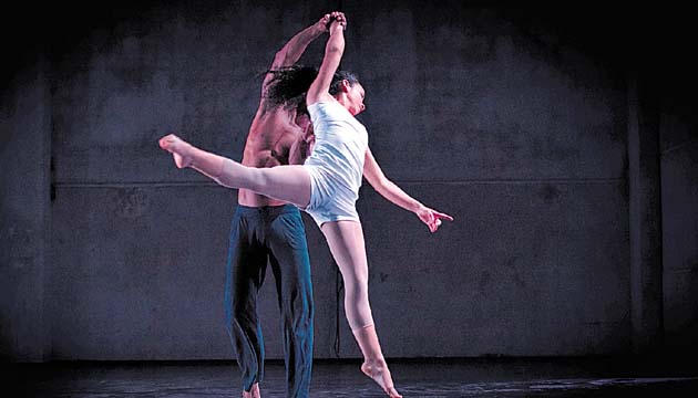 Danza contemporánea, los cuerpos son soporte y mensajeros.( Cortesía. )