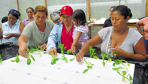 En el programa, las personas logran capacitarse en el manejo agrícola.(Cortesía.)
