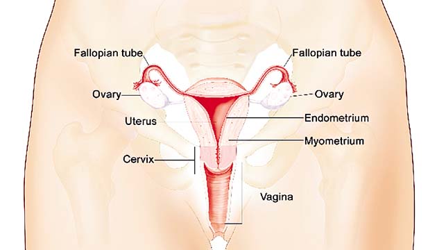 Es necesario que las mujeres conozcan su cuerpo para determinar lo que está mal.