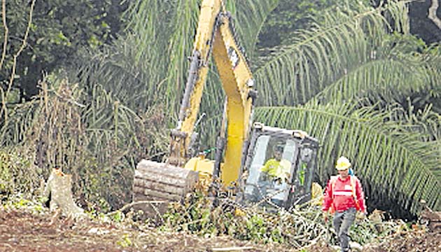 En el terreno talado no se permitió construir una escuela de excelencia