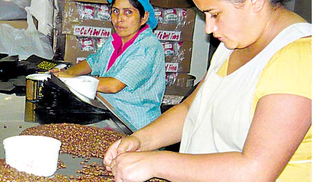 El mercado del café se encuentra saturado.(Archivo)