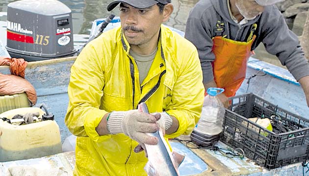 La pesca también se afectaría por el fenómeno.(Archivo)