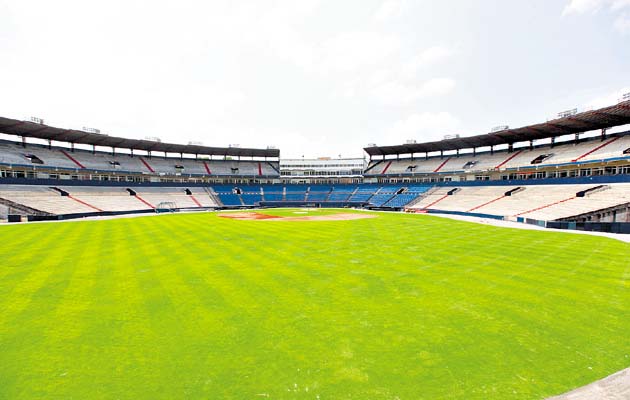 Así se ve el nuevo césped desde el estadio de Pequeñas Ligas detrás del jardín central.(Anayansi Gamez)
