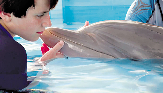 El “Clearwater Marine Aquarium” será su hogar.
