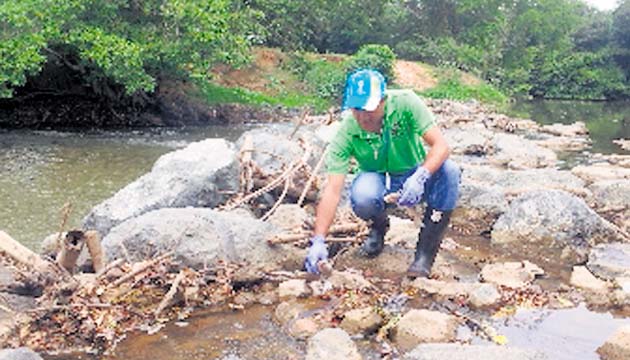 Autoridades deben ubicar la fuente de contaminación del agua del río