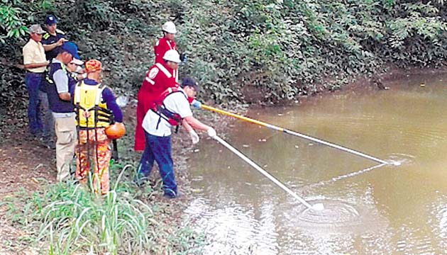 Campos de Pesé pierde más de 70,000 dólares al día