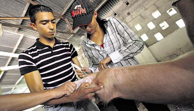 Estudiantes realizan actividades pecuarias en el asilo Bolívar.(Edwin González )