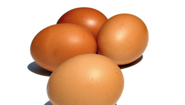 En la yema están presentes dos nutrientes llamados luteína y zeaxantina, que pertenecen a la familia de los carotenoides. Su consumo en embarazadas o lactantes es importante.