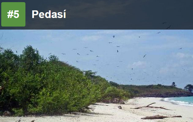 #5 Pedasí
