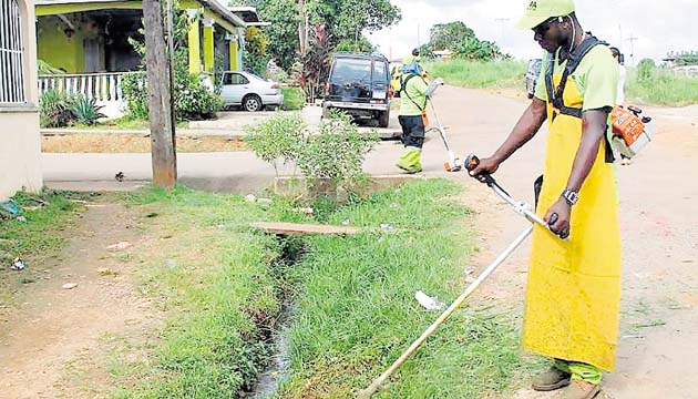 En diciembre, sigue la batalla contra los mosquitos