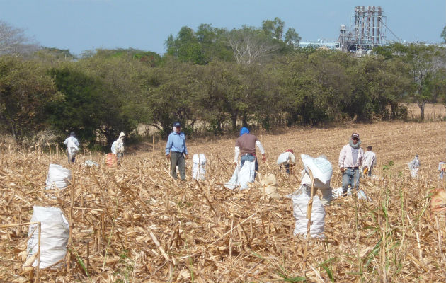 Economía panameña es afectada directamente por cambios climáticos