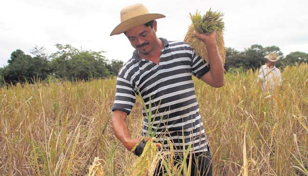 Piden sanciones para quien altere el bienestar de la producción local