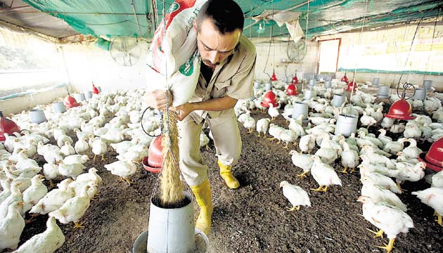 Sector privado acusa al Gobierno de estar improvisando por falta de políticas agrícolas.(Archivo)