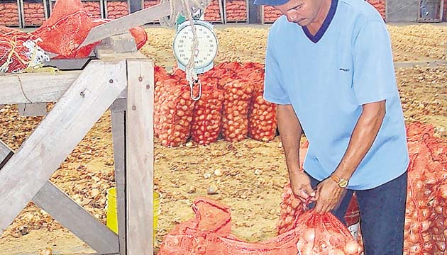 Según cebolleros, la distorsión en el mercado ha aumentado.(Archivo)