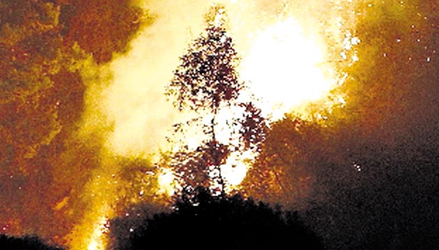 Combaten el incendio.(EFE)