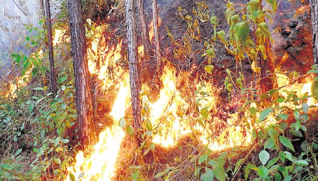 El incendio pudo empezar con una quema cercana.(FOTO Melquiades Vásquez)