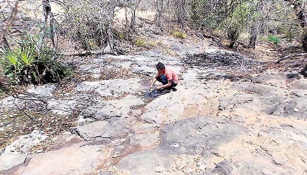 En Tres Quebradas ninguna quebrada tiene agua.( Zenaida Vásquez)