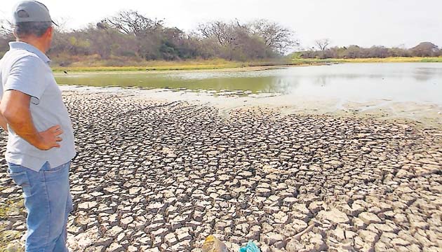 Los abrevaderos para el ganado están sin agua.( Zenaida Vásquez )