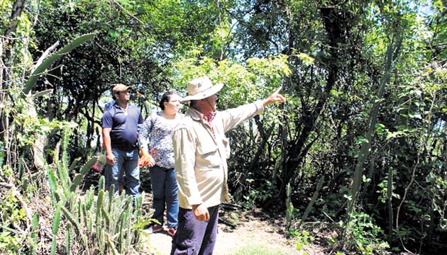 Una de las actividades principales es el avistamiento de aves.(FOTO Thays Domínguez)