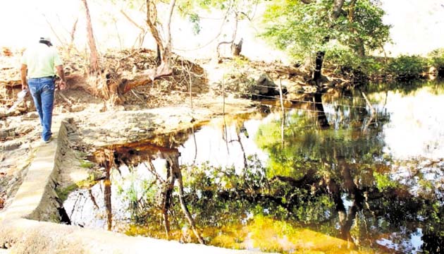 Autoridades aseguran que no se encontró contaminación del agua.(Thays Domínguez )