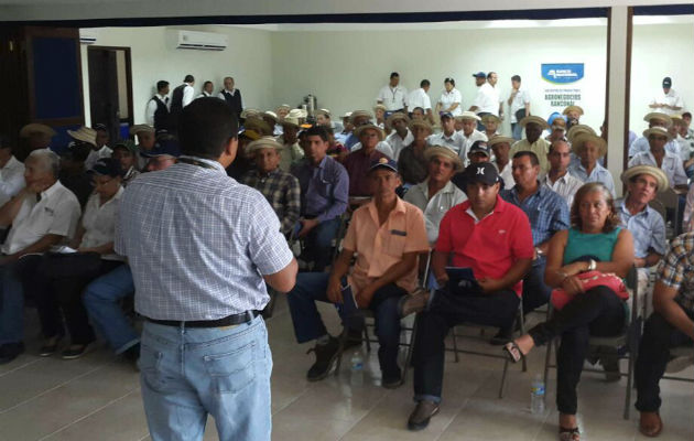 Asistieron más de 150 productores de la provincia de Los Santos. Foto/Cortesía