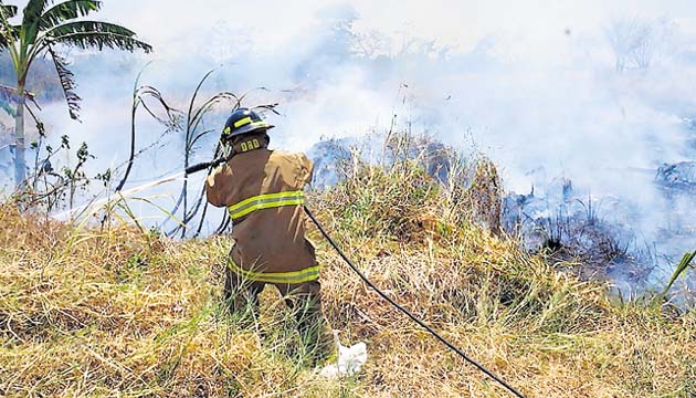 El incendio en La Yeguada tomó dos días para controlarlo.(Víctor Eliseo Rodríguez)