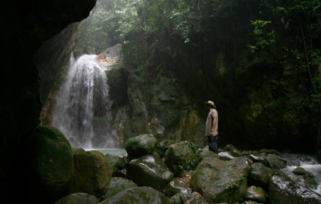 Parque Natural Altos de Campana. Foto/ANAM