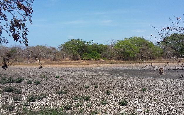 Arango: Deforestación y quemas, causas principales de falta de agua