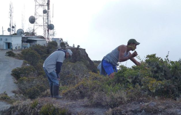 Población debe adoptar medidas ante posible erupción del volcán