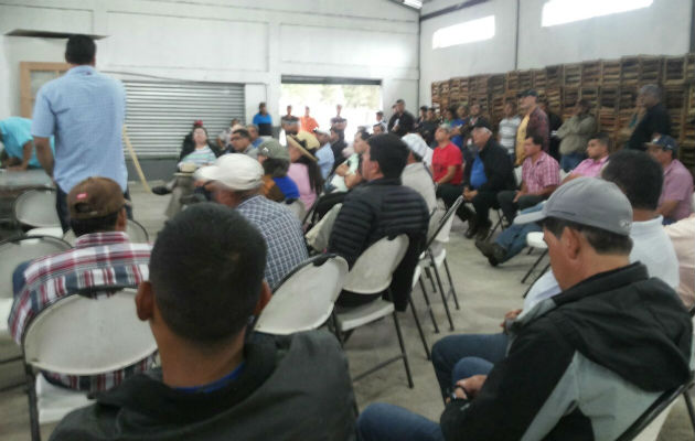 Encuentro de los productores. Foto: José Vásquez