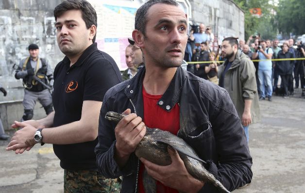  Tiflis, una ciudad inundada e invadida por las fieras 