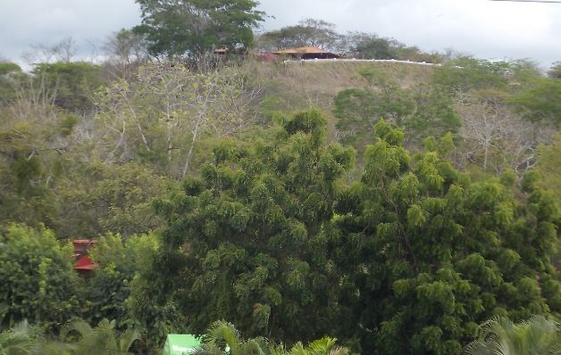 Cerrozuela está en los terrenos de la Universidad de Panamá. / Zenaida Vásquez Esperan definición de límite entre Guararé y Los Santos