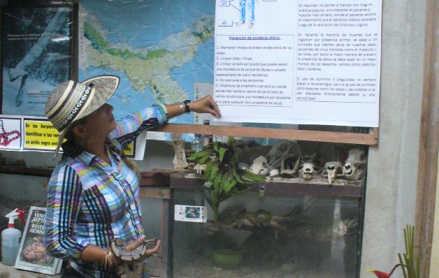 Los especialistas del serpentario enseñan a conocer estos reptiles. / Elena Valdez El Valle de Antón, hermoso sitio para visitar todo el año