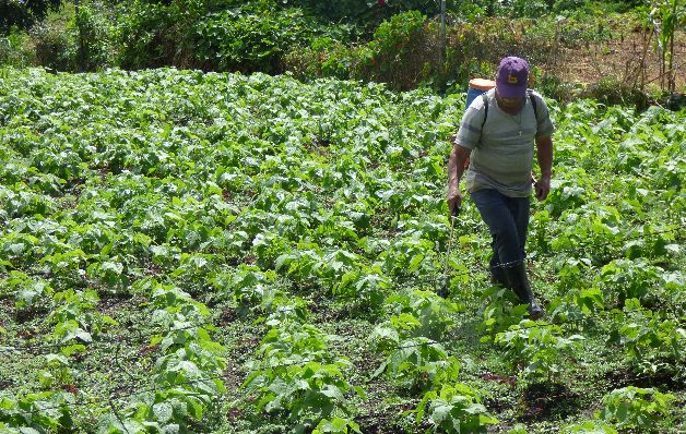 El agro ha sido uno de los sectores que ha sentido la ralentización.