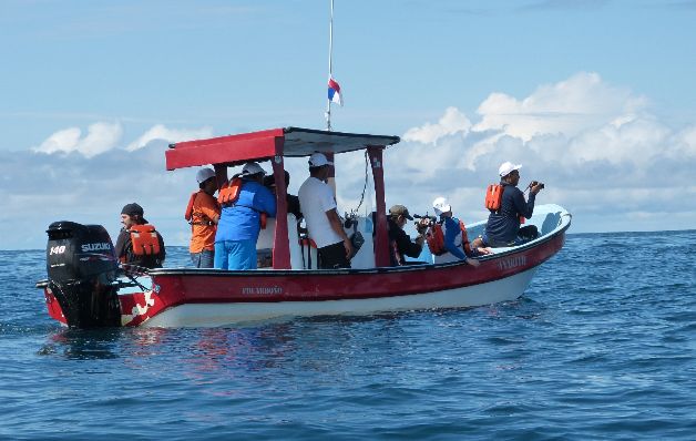 Coiba, un buen lugar para el avistamiento de cetáceos 