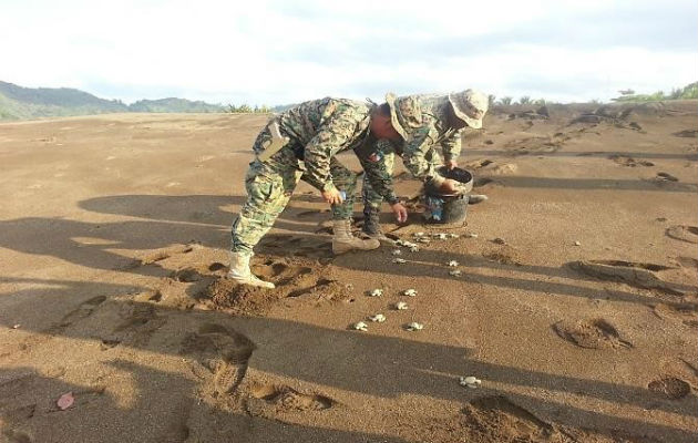 Unidades contribuyen con la conservación de la naturaleza. / Fotos: Cortesía