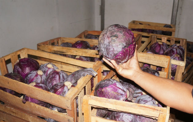 Investigan a agricultores por prestarse al contrabando. / Foto: José Vásquez