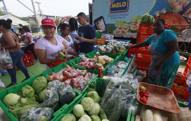 Los consumidores encuentran en las ferias libres una oportunidad para obtener alimentos a bajos costos, para hacer frente al alza de los precios de la canasta básica familiar, y el resto de los productos. / Edwin González Mayor demanda en ferias refleja fracaso del Gobierno