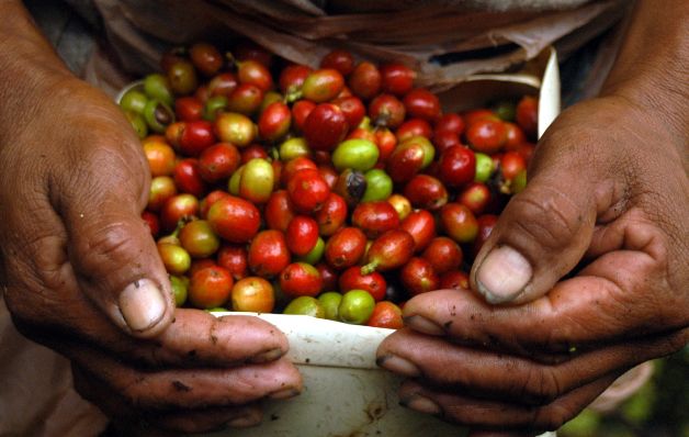 Boquete huele a café recién hecho y a comida sabrosa