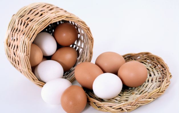 Durante muchos años el huevo fue catalogado como uno de los alimentos que podía perjudicar la salud de aquellas personas que lo consumían con alguna frecuencia. De este alimento se decía que era responsable en gran medida del aumento del colesterol en la sangre. Estas afirmaciones fueron desvirtuadas hace poco tiempo gracias a las investigaciones científicas; se ha demostrado que el huevo sin lugar a dudas no altera el colesterol, estas nuevas investigaciones afirman que el consumo moderado de huevo aporta al organismo una buena cantidad de nutrientes que son necesarios para tener una vida saludable. Omelette paleo