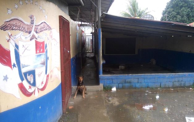 Panameños cruzan a Costa Rica para poder educarse 