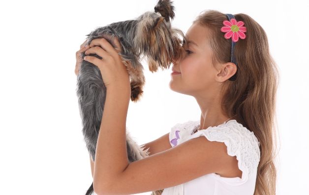 Pueden contribuir con el cuidado de la mascota. ¿Cómo pueden ayudar?
