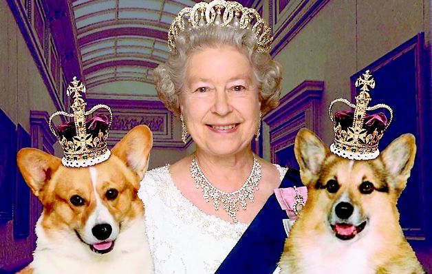 La reina ha tenido más de 30 corgis durante su mandato. / Archivo Curiosidades de la reina de Inglaterra