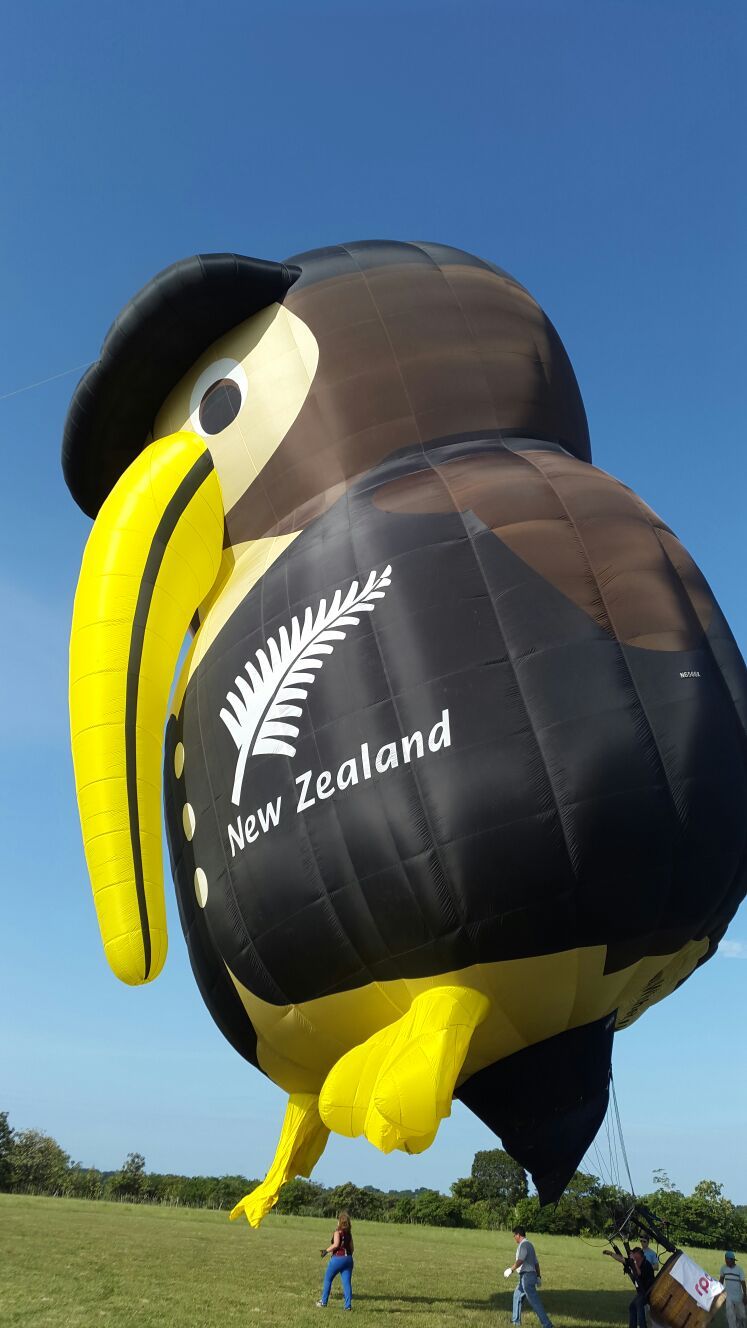 Algunos asistentes podrán subir a los globos. / Elena Valdez Miles asisten a feria de Coclé para ver globos aerostáticos
