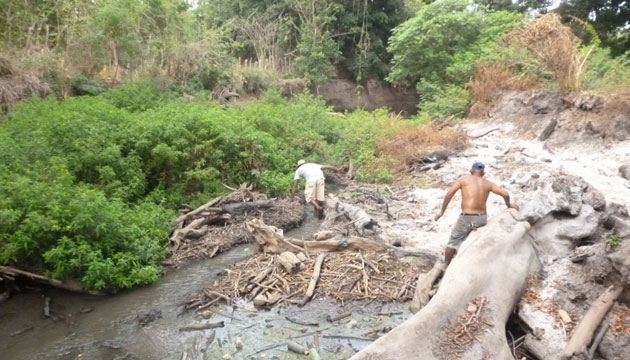 Productores esperan pronta  acción para enfrentar   sequía 