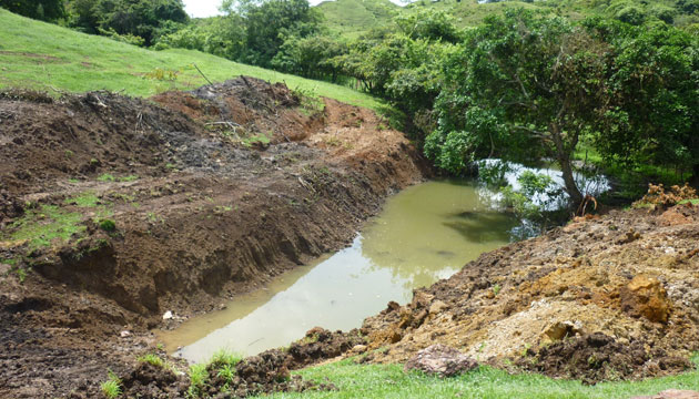 Productores esperan pronta  acción para enfrentar   sequía 
