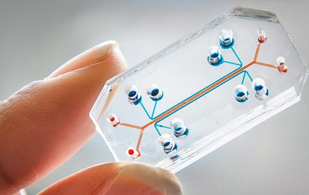 Implantes de microchips llegan ahora a los seres humanos y sus trabajos