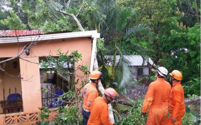 Residencia afectada por caída de árbol en Arraiján./@Sinaproc_Panama