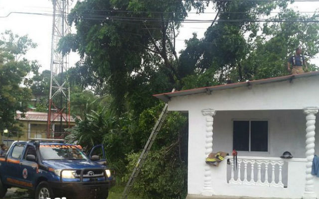 Proceden a remover árbol que cayó sobre vivienda en Colón./@CortezDelfia