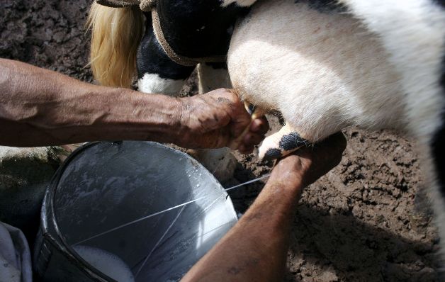  Cuestionan política estatal de otorgar más subsidios al agro  